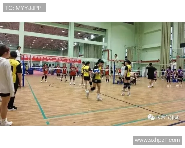 武汉排球队防守策略揭秘：深度解析排球竞技中的防守艺术与技巧